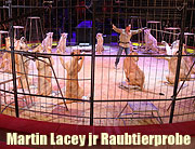 kommentierte öffentliche Raubtierprobe mit Martin Lacey jr. (©Foto: Martin Schmitz)